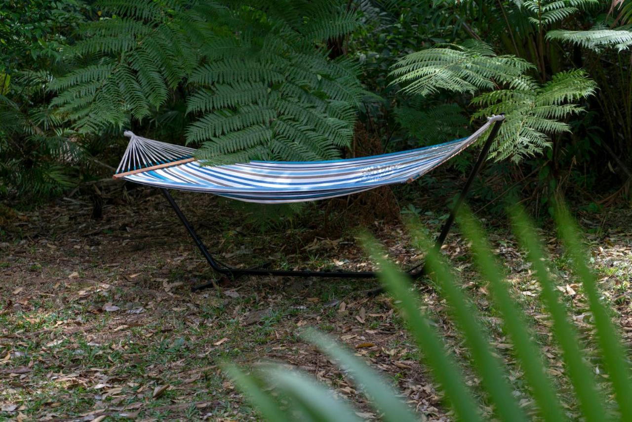 Mist At Cape Tribulation Villa Exterior photo